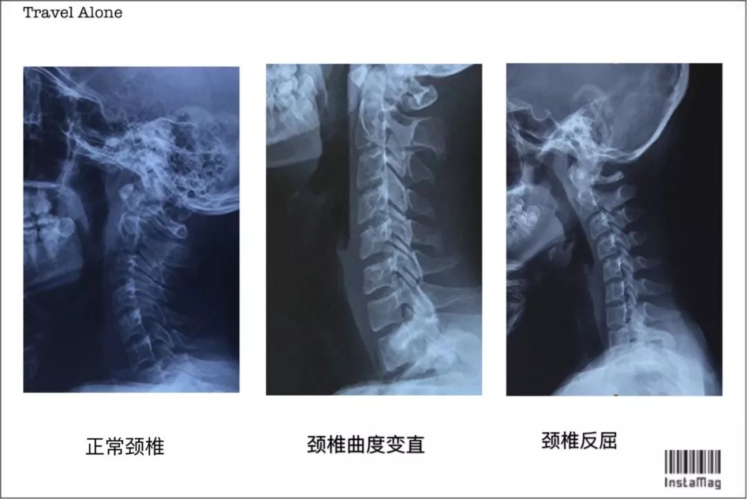 曲度品牌，卓越品质塑造，行业未来引领者