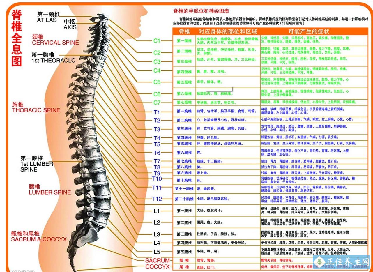 脊柱痛最快最有效的解决方法是什么？