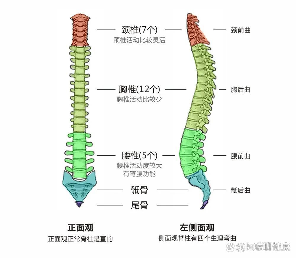 admin 第37页