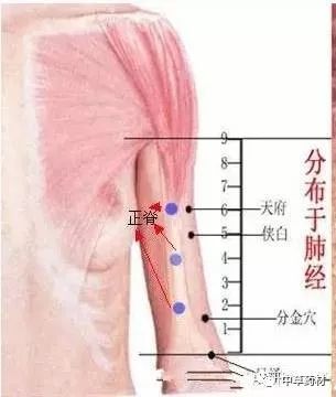 深入了解与关注，脊柱生理性弯曲与颈曲的重要性