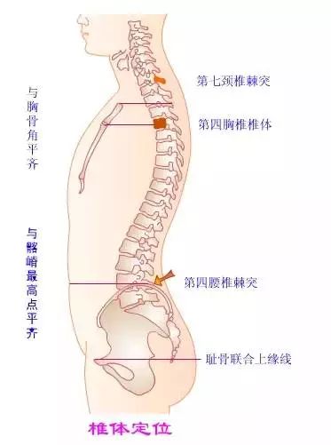 脊柱测评的顺序与重要性解析