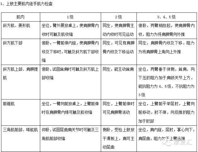 现病史与健康评估，深度解析名词及其重要性概览