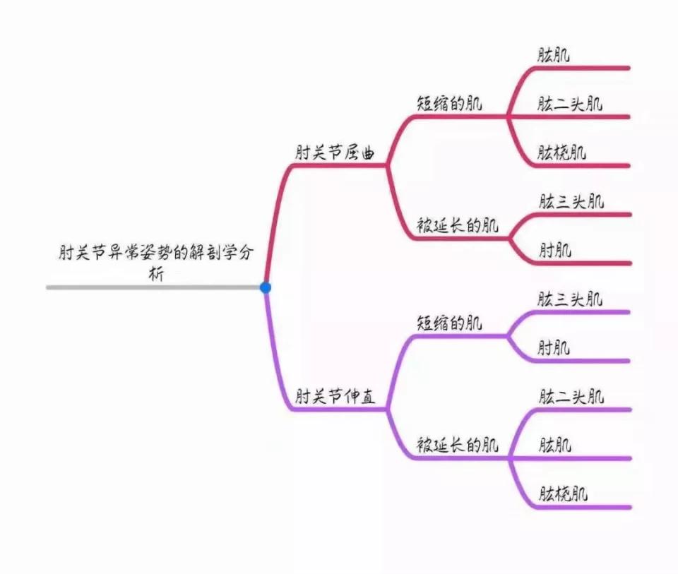 常见异常姿势的评定与解析