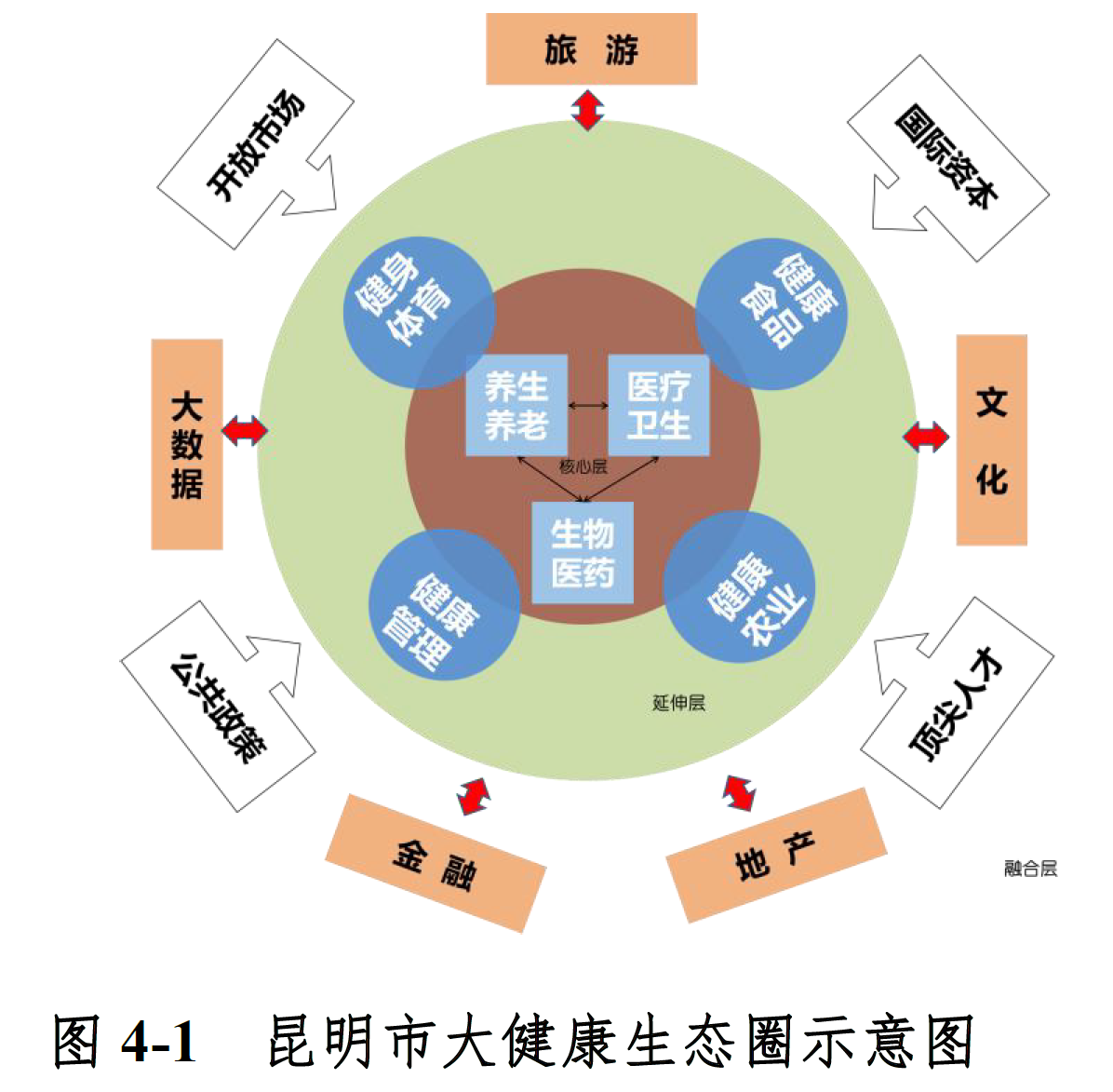 智能健康追踪管理，引领健康新时代的首选之道