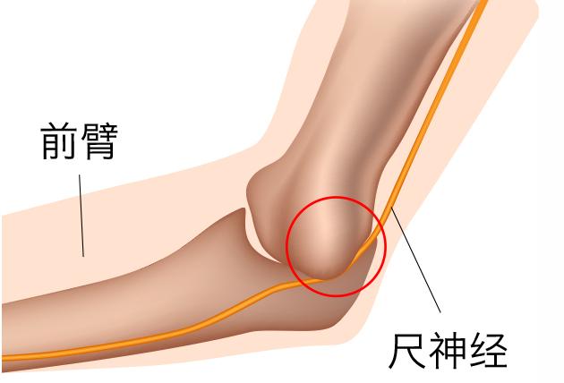 脊柱健康管理 第121页