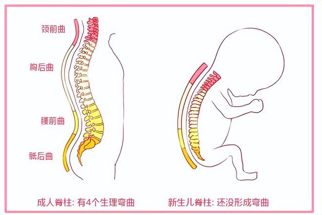 儿童脊柱保养的价值与重要性