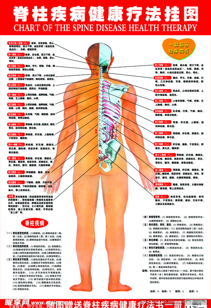 脊柱常见疾病治疗手法详解解析