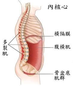 重塑健康与平衡，调整脊柱的神奇功效探索