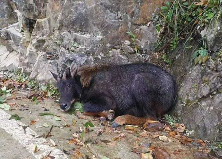 认证与安全性 第173页