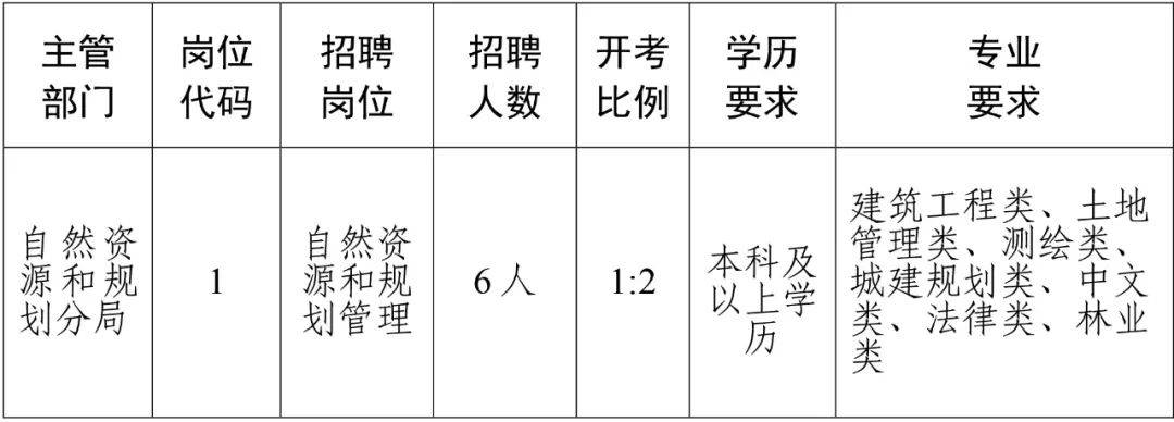 崇阳县数据和政务服务局最新招聘信息全解析