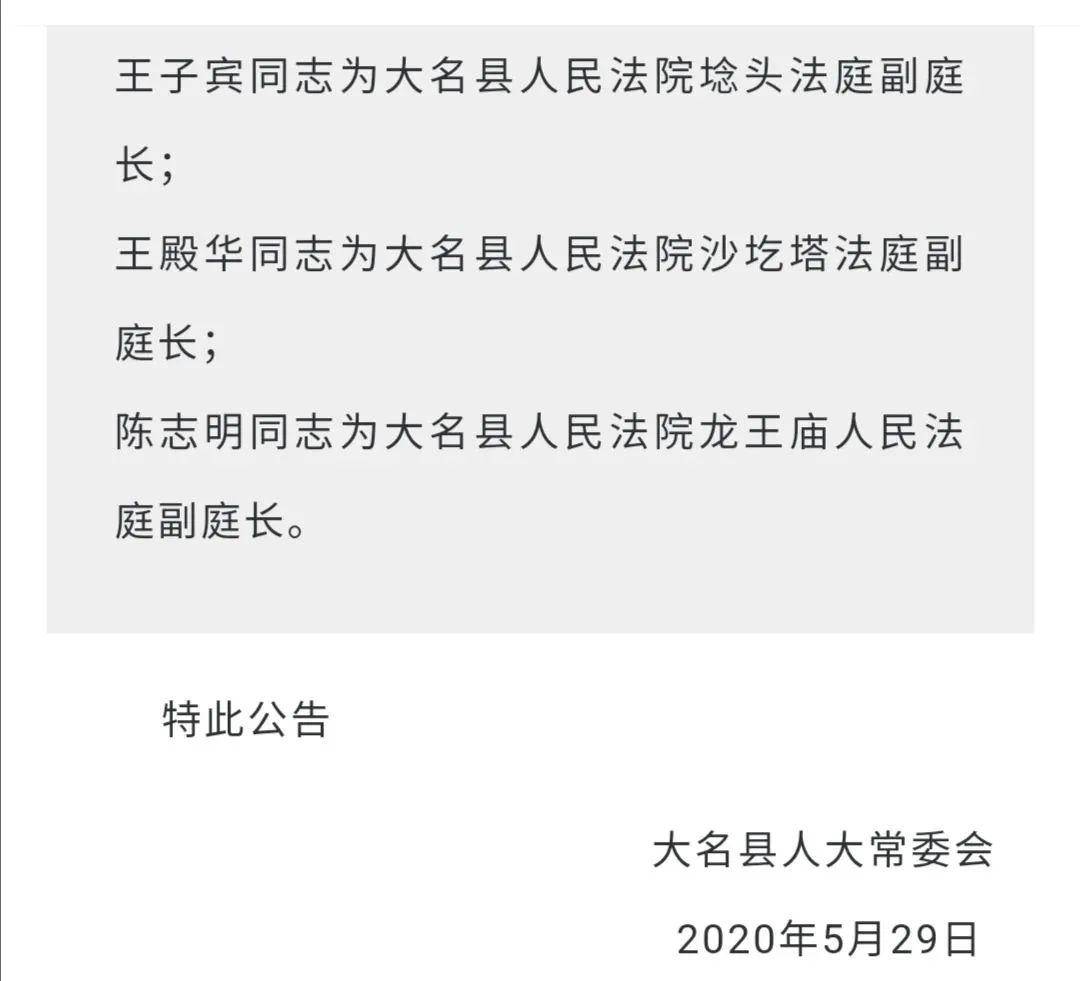 大名县剧团人事大调整，重塑传统艺术力量的新篇章