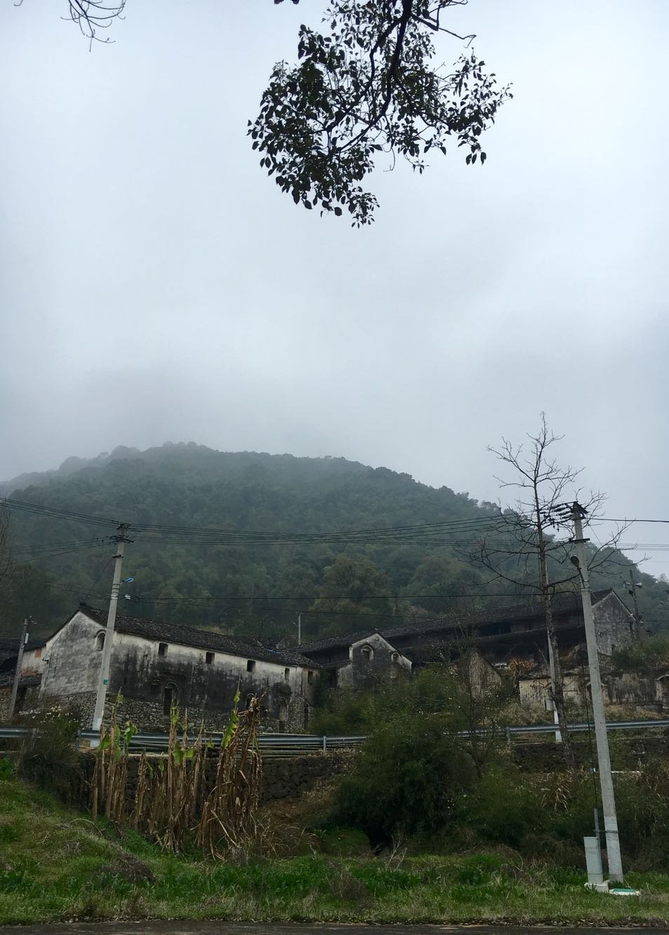 里山镇天气预报更新通知