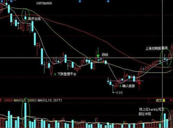 澳门状元红一肖一特,稳定策略分析_SP34.179