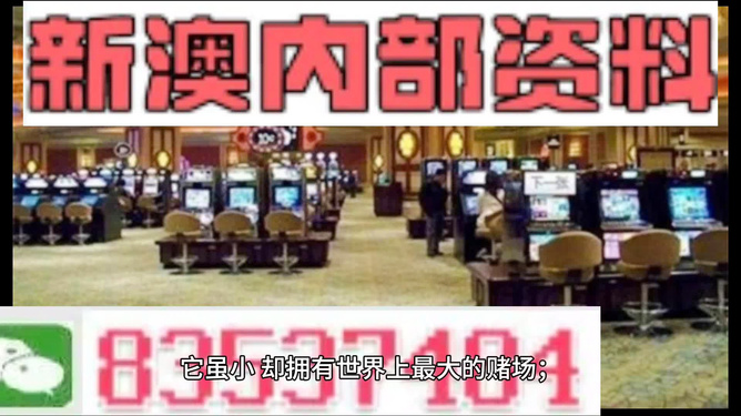 2024澳门精准正版免费,动态分析解释定义_VR79.839