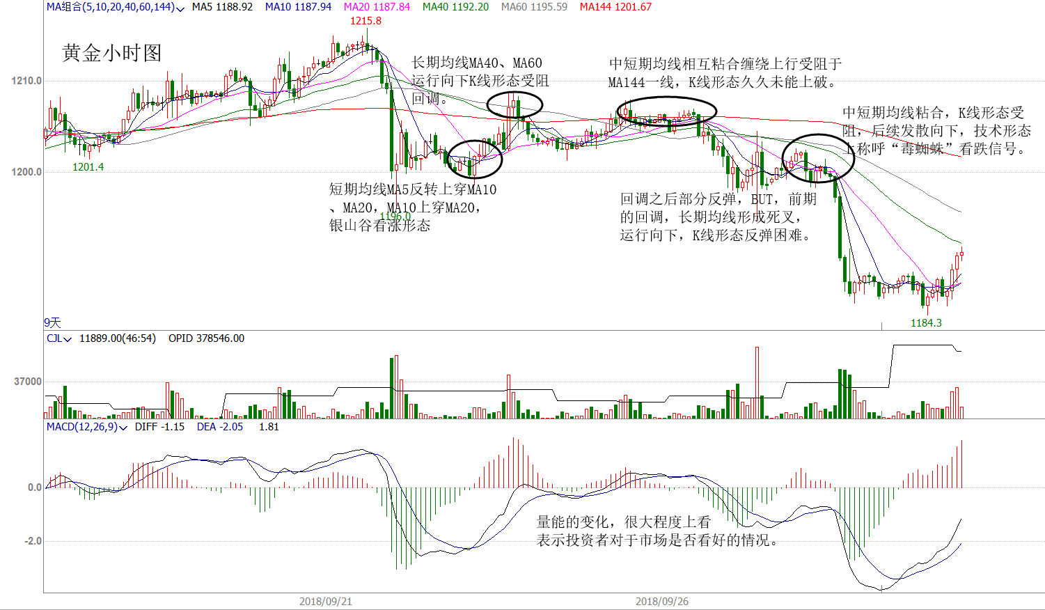 澳门管家婆一码一肖资料大全,收益成语分析定义_tShop32.465