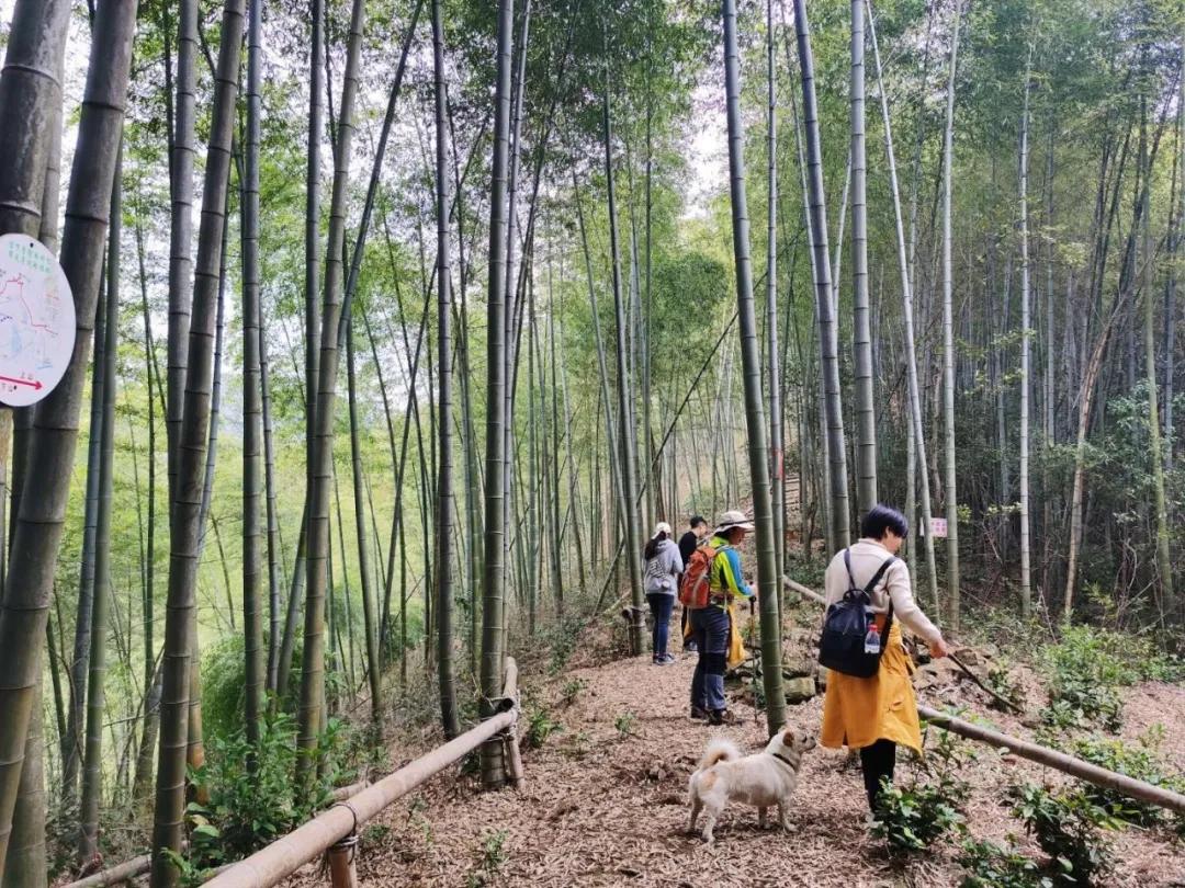 云顶岩最新探索发现之旅报道