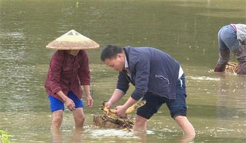 浅水镇新任领导引领变革，塑造未来新篇章