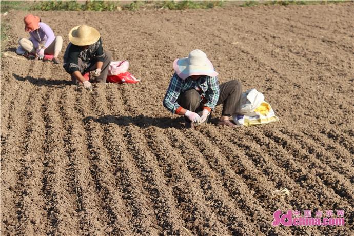 鱼台县市场监督管理局发布最新新闻动态