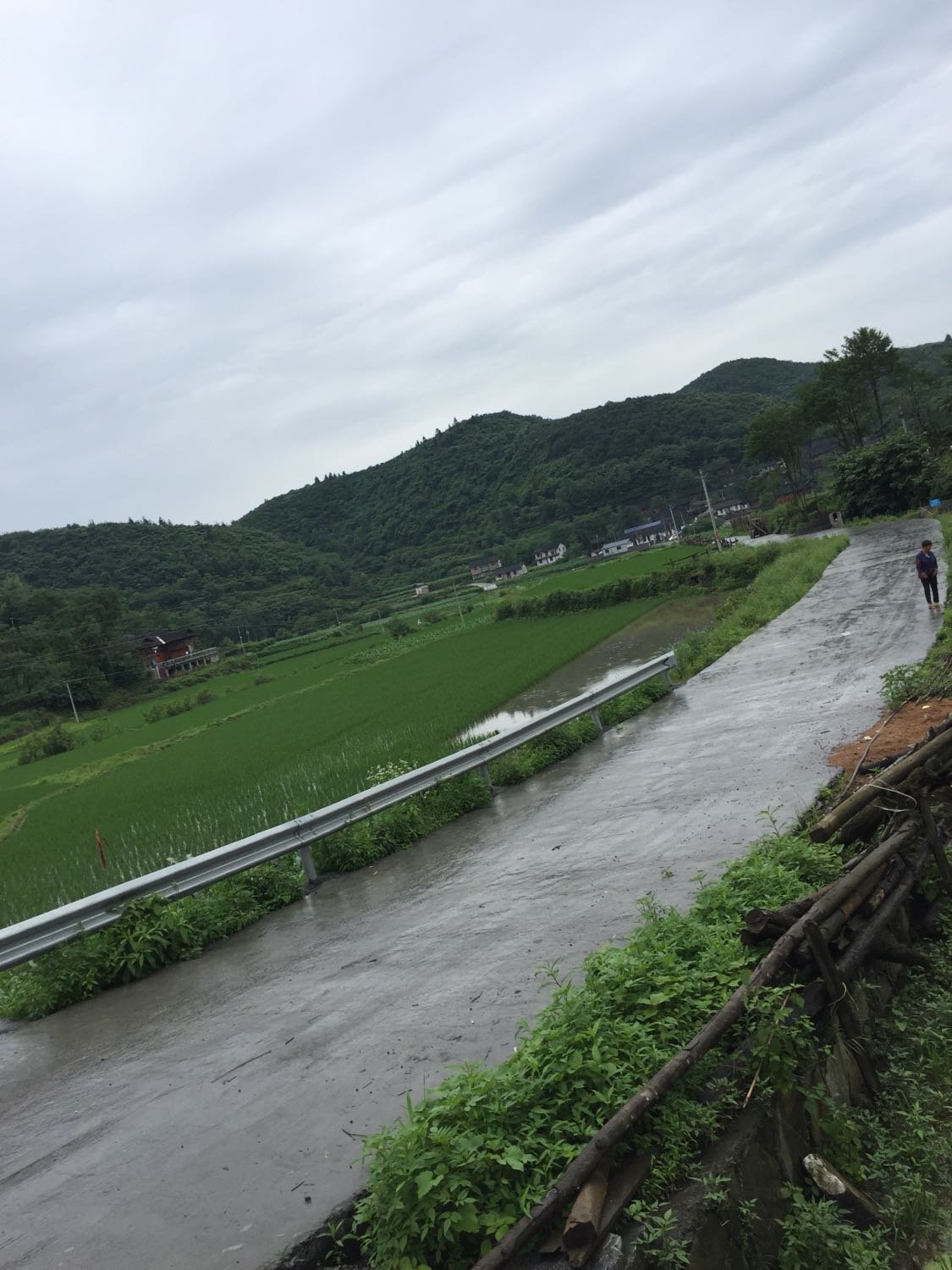 白溪镇天气预报更新通知