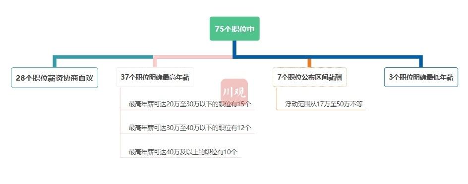 东坡区人民政府办公室最新招聘公告解读