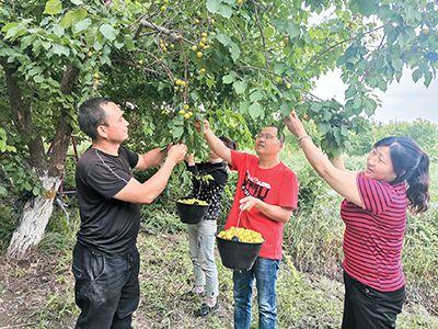 轮台县文化局最新新闻动态与深远影响概览