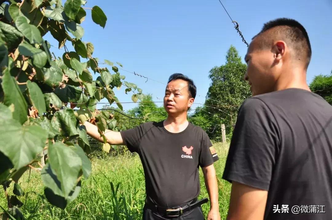 陈坝村新项目启动，乡村振兴新篇章