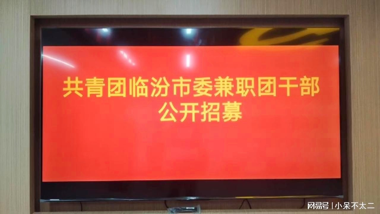 拉萨市共青团市委最新招聘启事概览