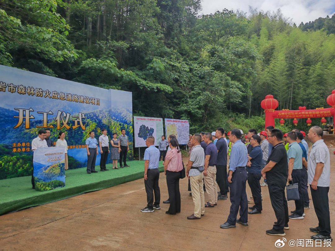 龙岩市林业局发展规划揭秘，迈向绿色生态的未来之路