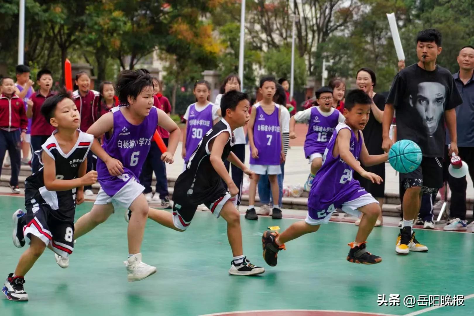 岳阳楼区小学校长最新领导层及教育理念概览