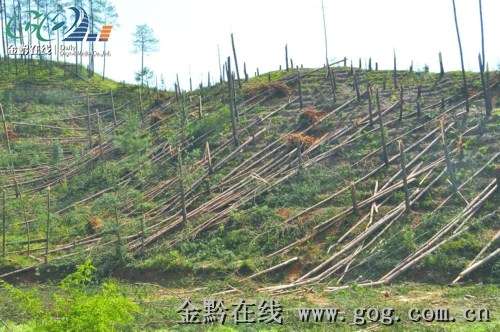 二龙山林场天气预报更新