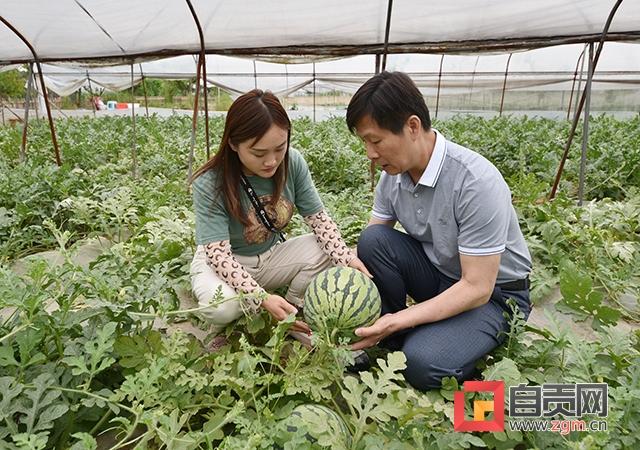 自贡市招商促进局最新招聘概览