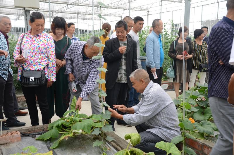 什邡市住房和城乡建设局最新发展规划概览