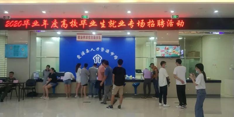 霞浦县人力资源和社会保障局新项目，地方经济与社会发展的核心驱动力