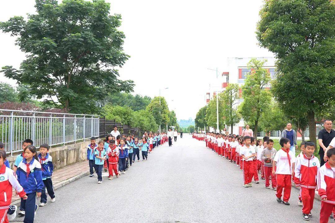 普定县小学最新项目，开启现代教育新篇章探索之旅