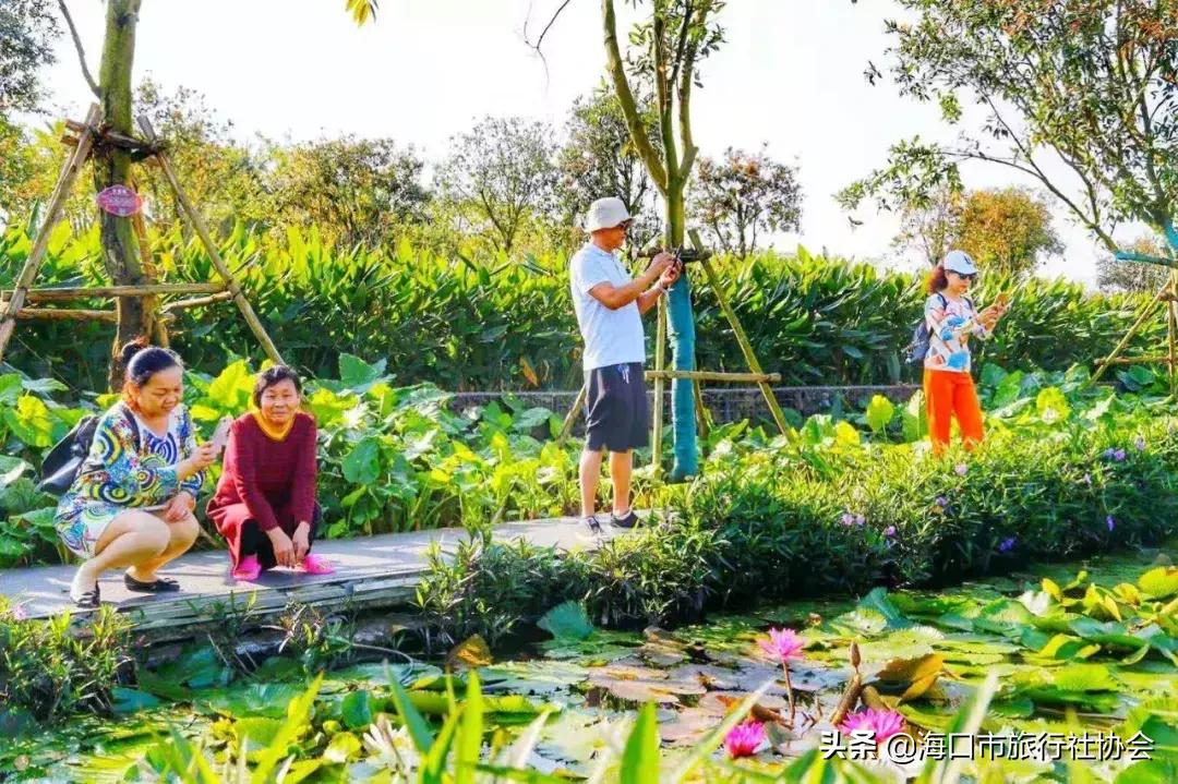 琼山区文化广电体育和旅游局最新动态报道