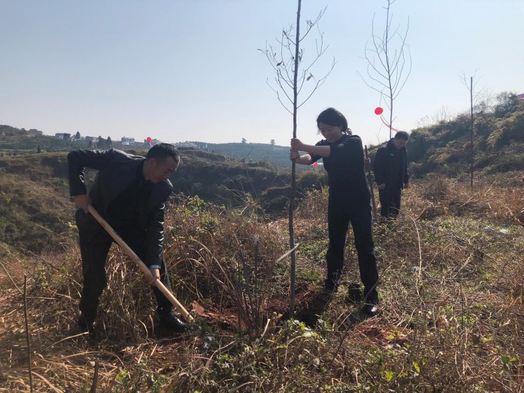 丹棱县住房和城乡建设局最新招聘信息全面解析