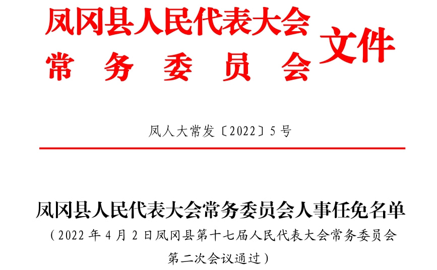 凤泉区文化局人事任命新动态与未来展望