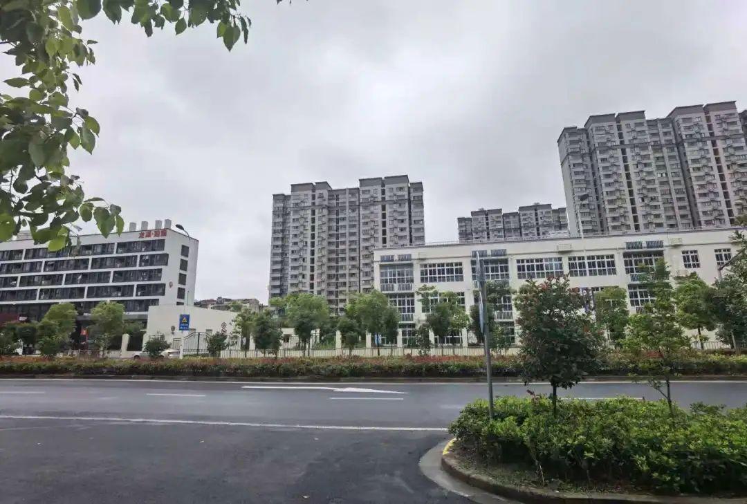 锦绣社区管理委员会天气预报与应对指南