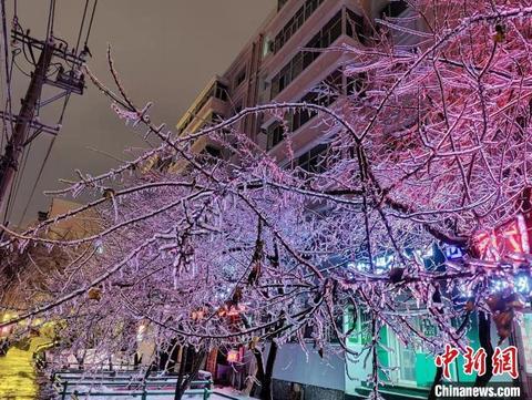 阿城区应急管理局最新动态报道