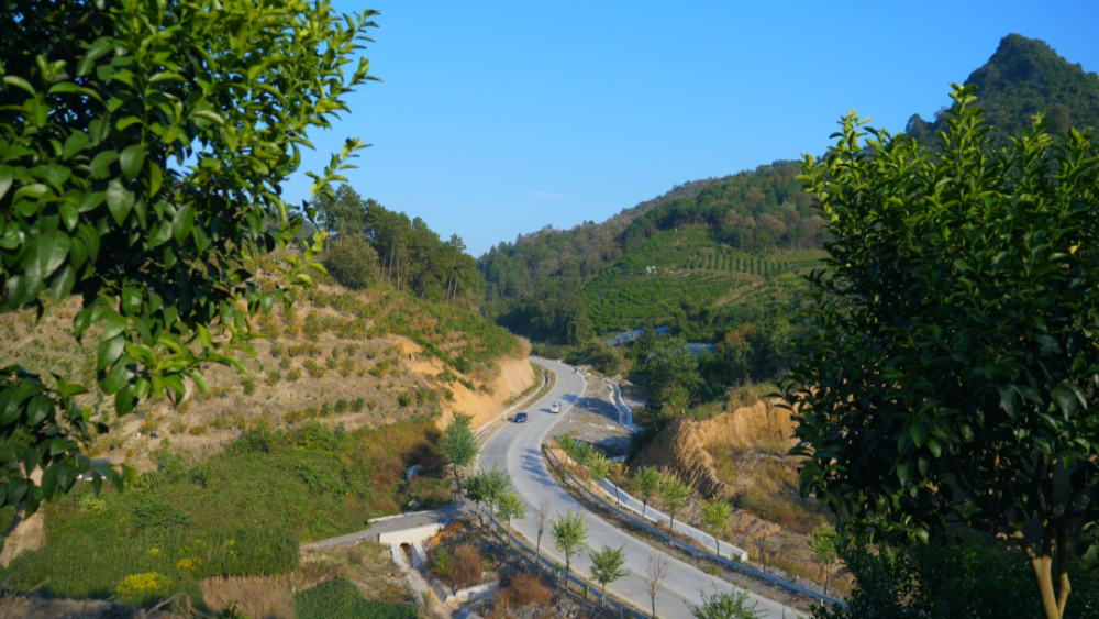 阳朔县交通运输局新项目，塑造未来交通蓝图