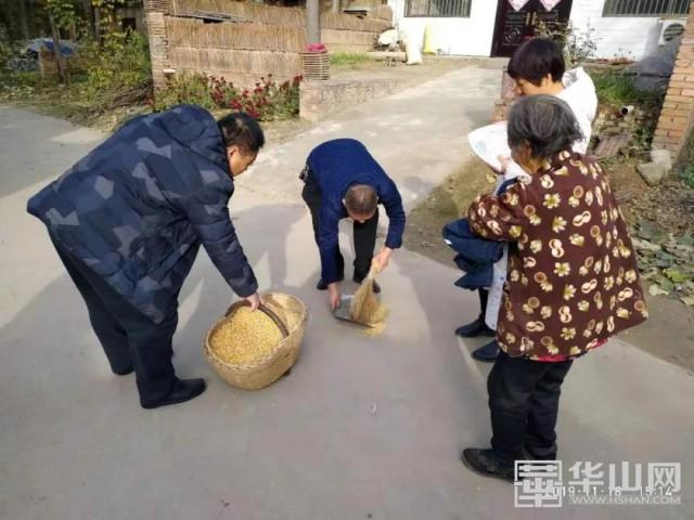 莲花寺村委会最新发展规划