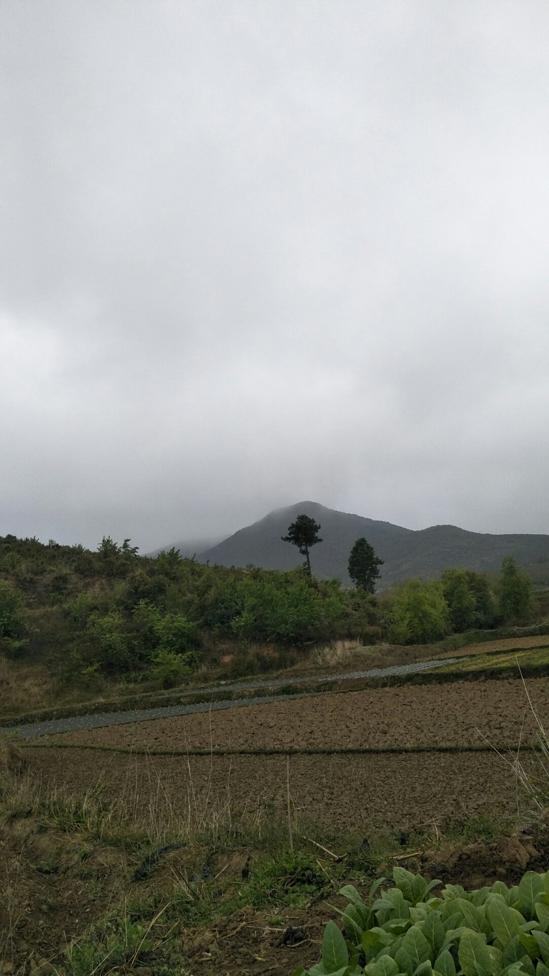 红岩寺村最新天气预报