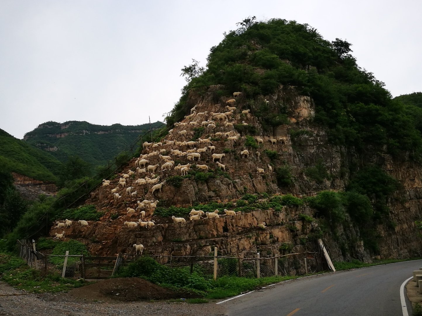 狼牙山镇最新天气预报